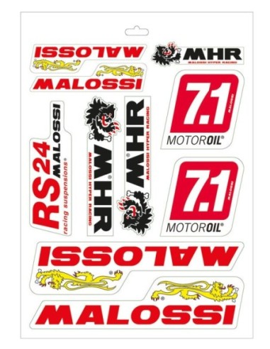 Hoja adhesivos Malossi Varios