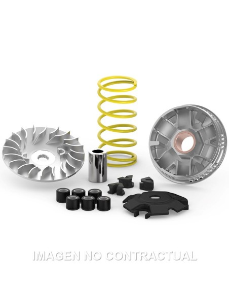 Variador Malossi Multivar Yamaha Delight 125