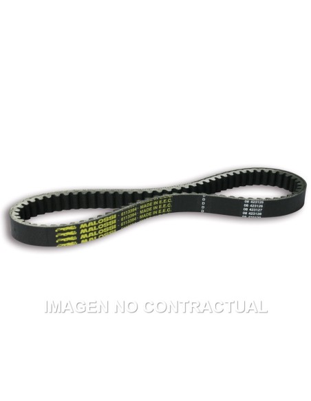 Correa Transmisión Malossi Yamaha Cygnus X 125