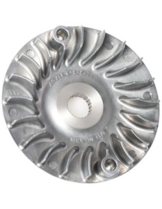 SEMIPOLEA VENTILVAR MALOSSI PIAGGIO LIBERTY IGET