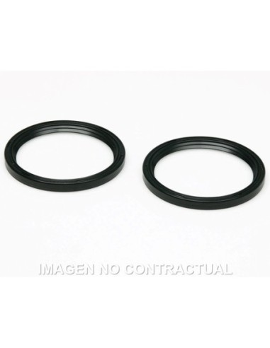 Juego retenes aceite Malossi 48x41x4