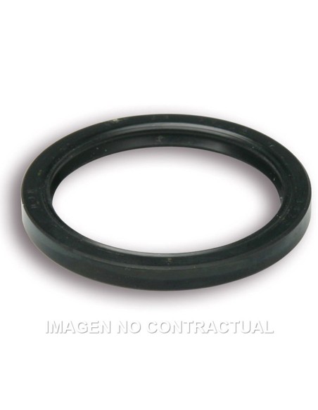 Retén Aceite Variador Malossi D. 31 X 38 X 04 Para Variador 5111808