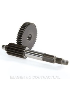 Desarrollo Primero Largo Aerox 100, Neos 100 15/42