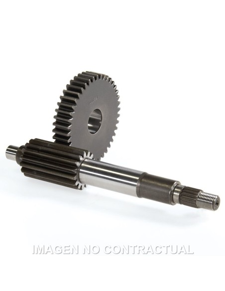 Desarrollo Primero Largo Aerox 100, Neos 100 15/42