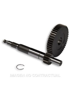 Desarrollo Primario Largo Gilera DNA