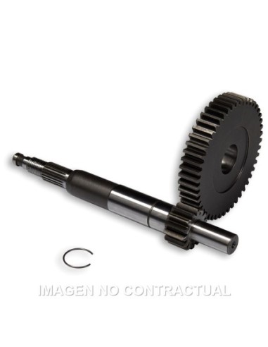 Desarrollo Primario Largo Gilera DNA