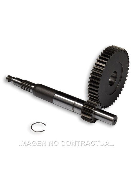 Desarrollo Primario Largo Gilera DNA