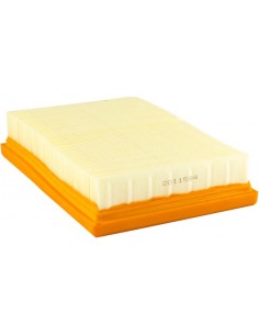 FILTRO DE AIRE CHAMPION CAF5101