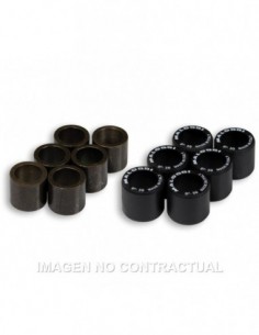 RODILLOS MALOSSI 25X22,2 22GR 