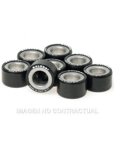 RODILLOS MALOSSI 25X14,9 12GR 