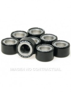 RODILLOS MALOSSI 25X14,9 13GR 