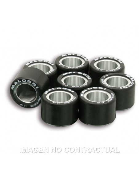 RODILLOS MALOSSI 25X19 17GR 