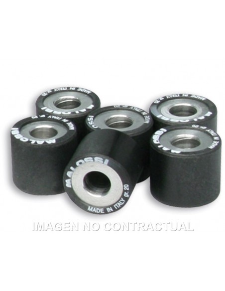 RODILLOS MALOSSI 25X22 26GR 