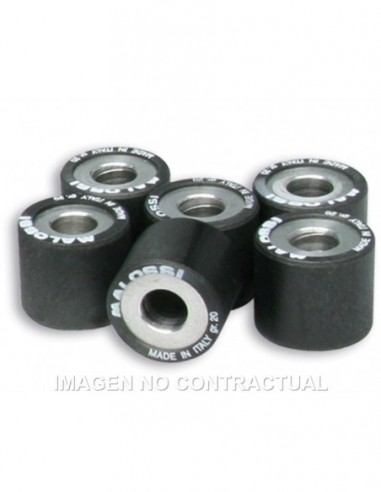 RODILLOS MALOSSI 25X22,2 28G 