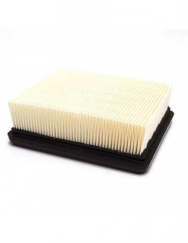 FILTRO DE AIRE F264784