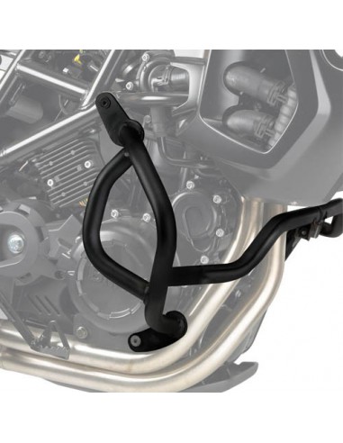 DEFENSA BMW F650GS-08