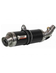 HONDA FMX 650 2005 - 2006