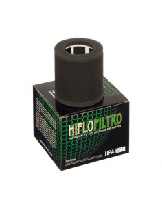 FILTRO DE AIRE HIFLOFILTRO HFA2501