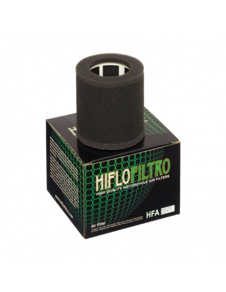 FILTRO DE AIRE HIFLOFILTRO HFA2501