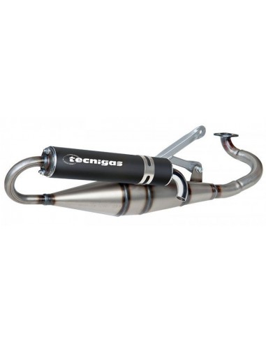 ESCAPE NEXT R PGO BIG MAX / HO