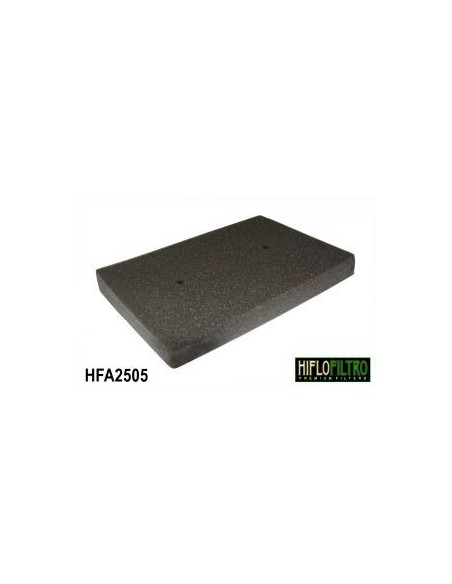 Filtro de aire hiflofiltro HFA2505