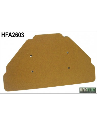 Filtro de aire hiflofiltro HFA2603
