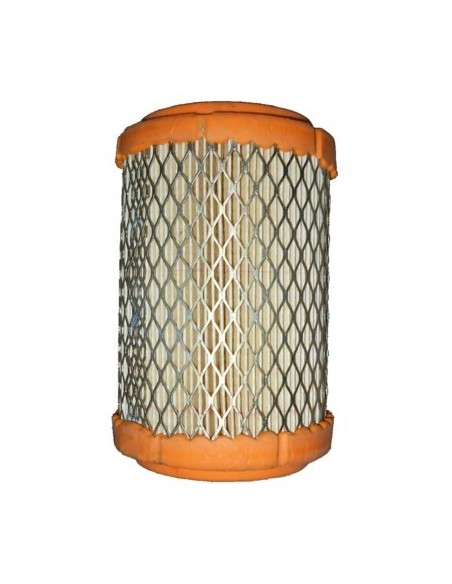 FILTRO DE AIRE HIFLOFILTRO HFA6001