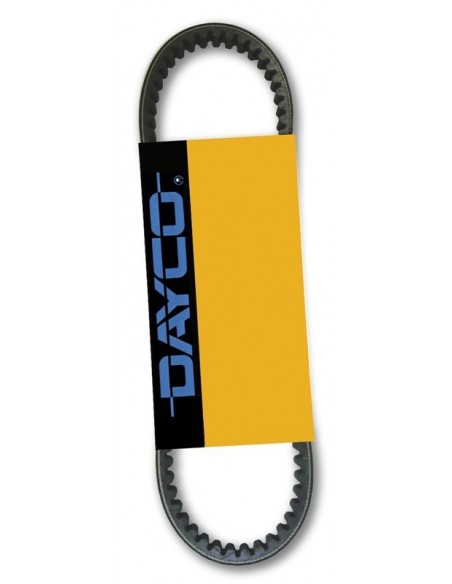 CORREA TRANSMISION DAYCO 736x17x8
