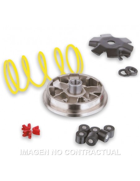 VARIADOR PGO BIG MAX