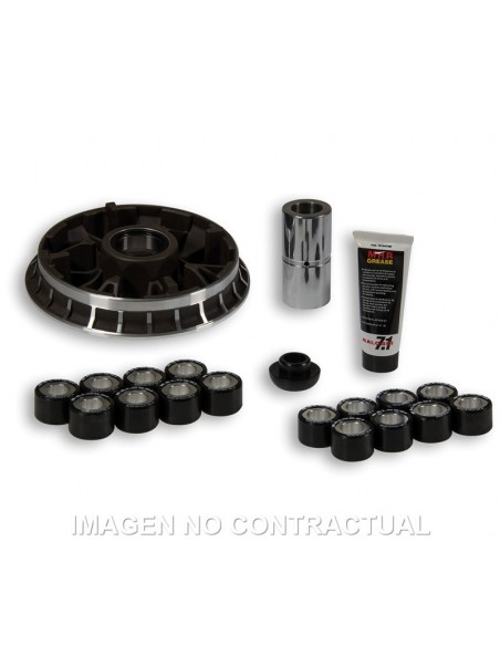 VARIADOR MALOSSI MULRIVAR BMW 