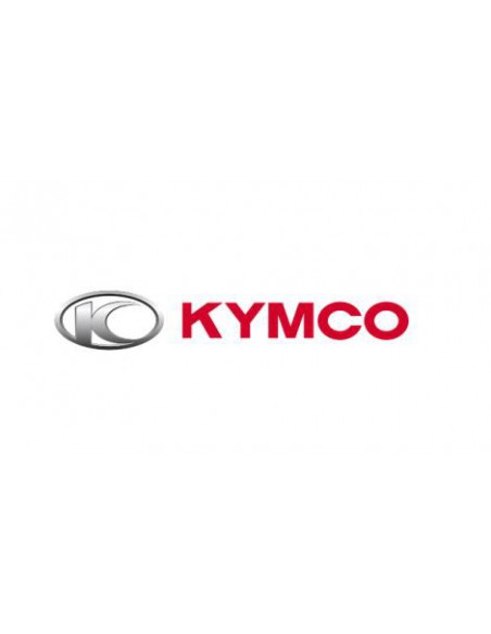 FILTRO AIRE ORIGINAL KYMCO 17205-KFA6-90