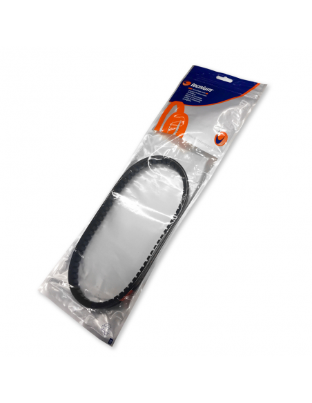 CORREA TRANSMISION VESPINO