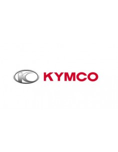 FILTRO AIRE ORIGINAL KYMCO 1721A-KKC3-91