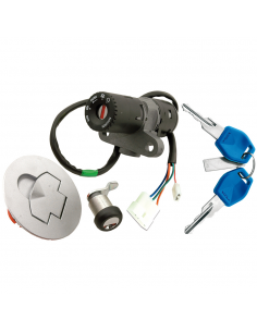 CERRADURA 6561
