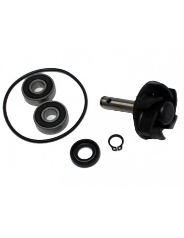 KIT REPARACION BOMBA AGUA MINARELLI 50