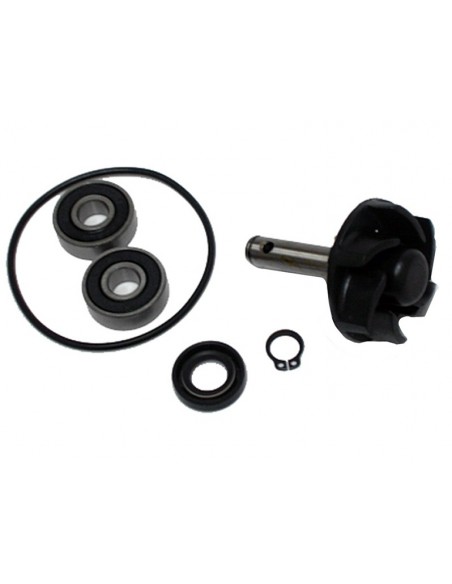 KIT REPARACION BOMBA AGUA MINARELLI 50