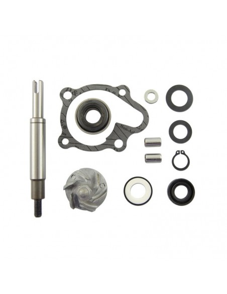 KIT REPARA BOMBA DE AGUA KYMCO DINK-GRAND DINK
