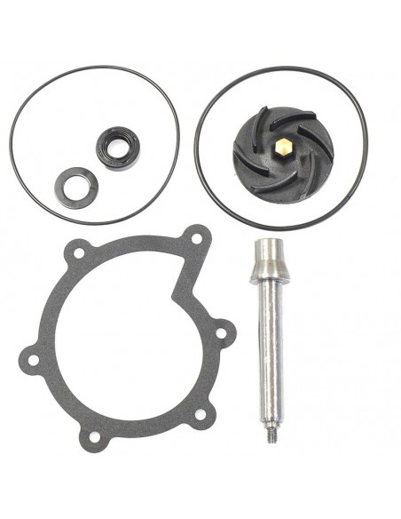 KIT REPARACION BOMBA AGUA PIAGGIO BEVERLY 500