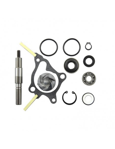 KIT REPARACION BOMBA DE AGUA HONDA FES 250 FORESIGHT 1998-1999