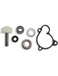 KIT REPARACION BOMBA DE AGUA YAMAHA MAJESTY-X-CITY 250