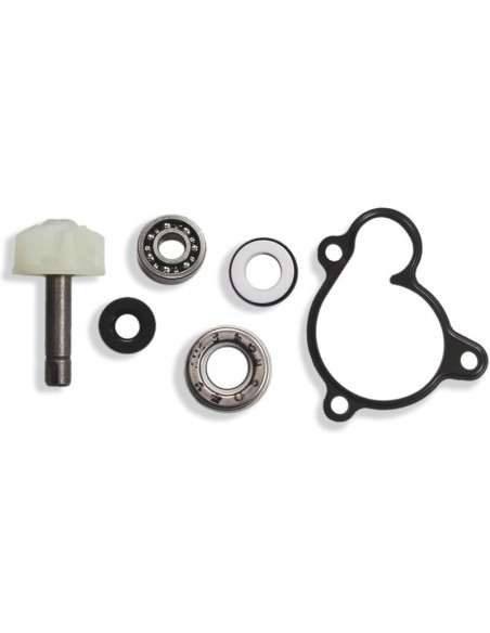 KIT REPARACION BOMBA DE AGUA YAMAHA MAJESTY-X-CITY 250
