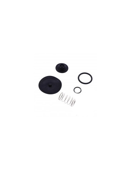 KIT REPARACION GRIFO GASOLINA