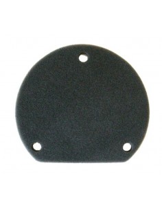 FILTRO DE AIRE CARTER YAMAHA MAJESTY CA 180