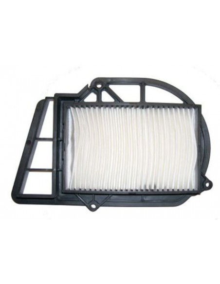 FILTRO DE AIRE CARTER