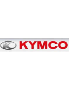 TULIPA INTERMITENTE KYMCO DELANTERO DERECHO