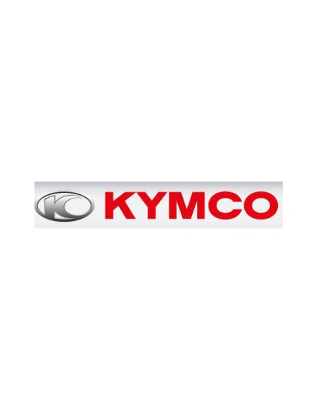 TULIPA INTERMITENTE KYMCO DELANTERO DERECHO