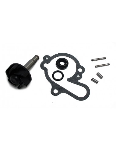 KIT REPARACION BOMBA DE AGUA