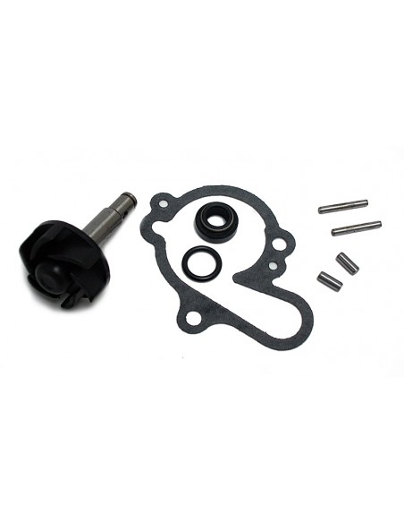 KIT REPARACION BOMBA DE AGUA