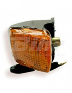 INTERMITENTE DELANTERO IZQUIERDO