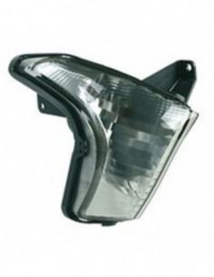 INTERMITENTE DELANTERO DERECHO TRANSP.